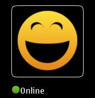 Contact online